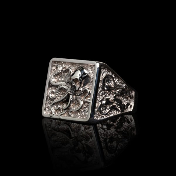 Nautilus Skull Nautilus Skull