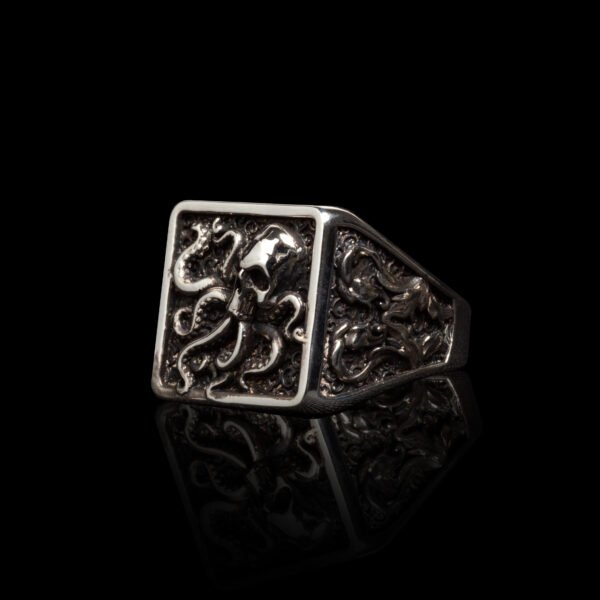 Nautilus Skull Ox Nautilus Skull